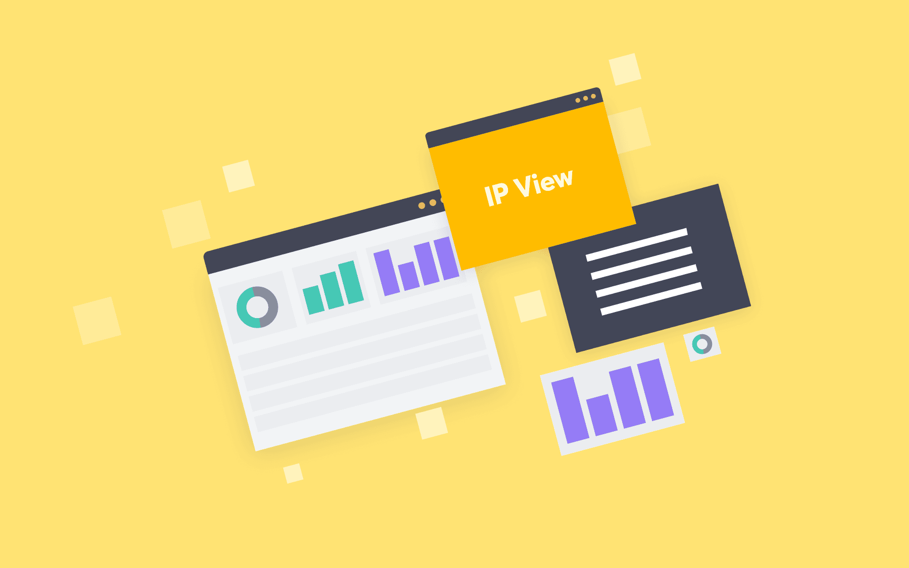 Graphic showing IP View in Detectify tool