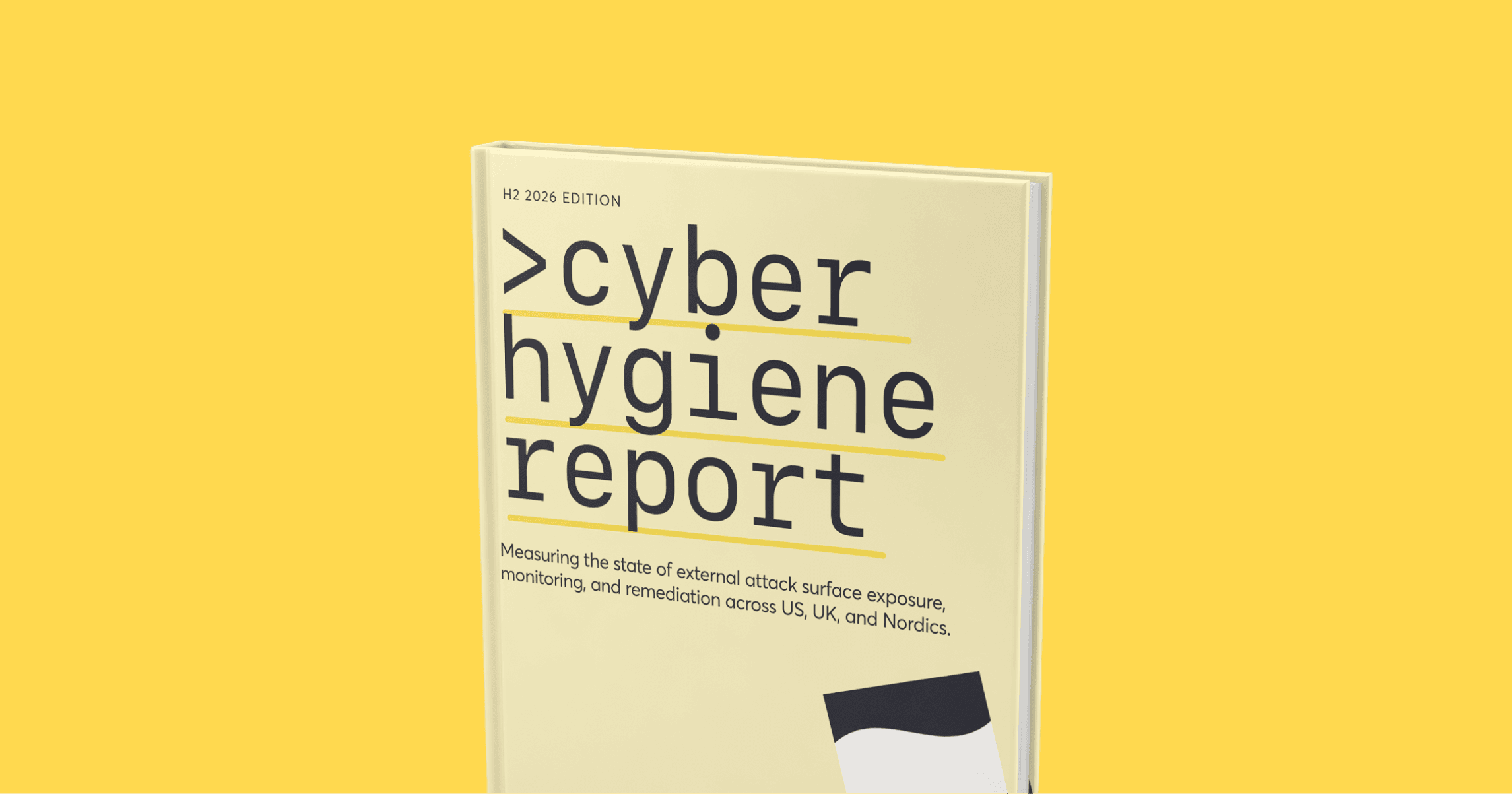 Illustration of a hardcover with the Cyber Hygiene Report title on it